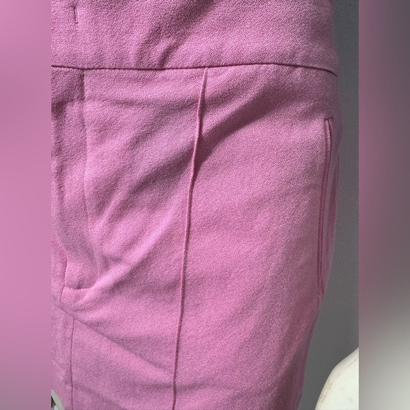 NWT Isabel Marant Licoba Mini Skirt in Pink - Picture 7 of 16